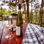 Holiday home Ruzenka - Narodni Park Ceske Svycarsko *