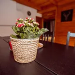Holiday home Ruzenka - Narodni Park Ceske Svycarsko