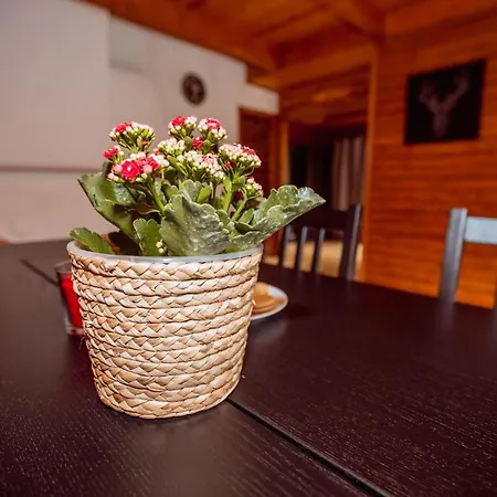 Holiday home Ruzenka - Narodni Park Ceske Svycarsko